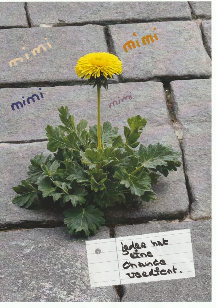 Zu sehen ist eine Löwenzahnblume die durch den dichten Asphalt wächst. Untertitel: Jeder hat eine Chance verdient