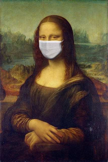 zu sehen ist die Originalabbildung von der Mona Lisa allerdings mit einer montierten FFP2 Maske