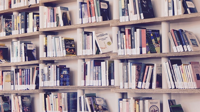 zu sehen ist ein milchiges Foto von einem großen Bücherregal